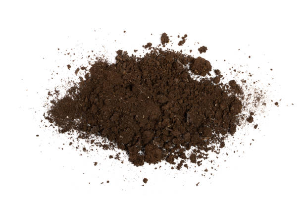 istock Fertilized Dry Dirt Isolated, Dried Ground, Manure Soil 1342005122