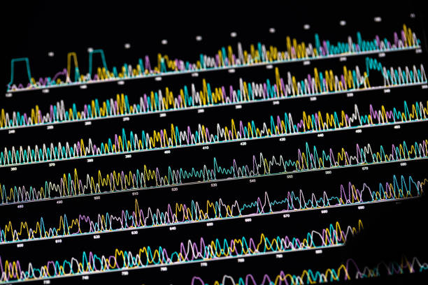 DNA sequence spectrum in tablet DNA sequence spectrum in tablet dna sequencing gel stock pictures, royalty-free photos & images