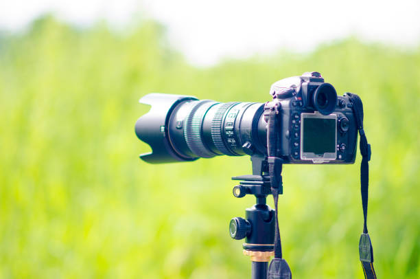 istock DSLR camera on a tripod ready to take nature pictures. 1342006759