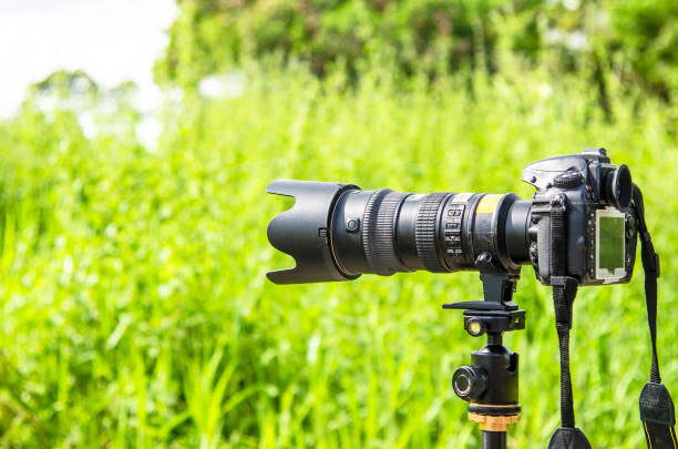 istock DSLR camera on a tripod ready to take nature pictures. 1342006763