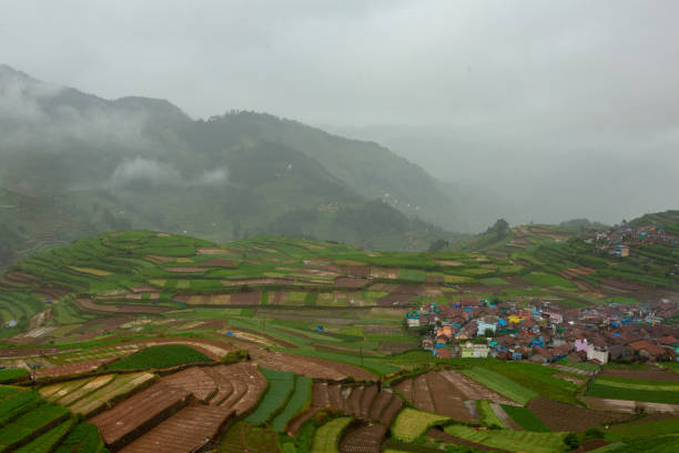 istock Poombarai village view 1342007973