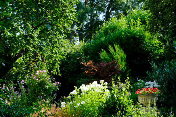 istock summer flower walled garden colourful botanical horticultural border 1342008831