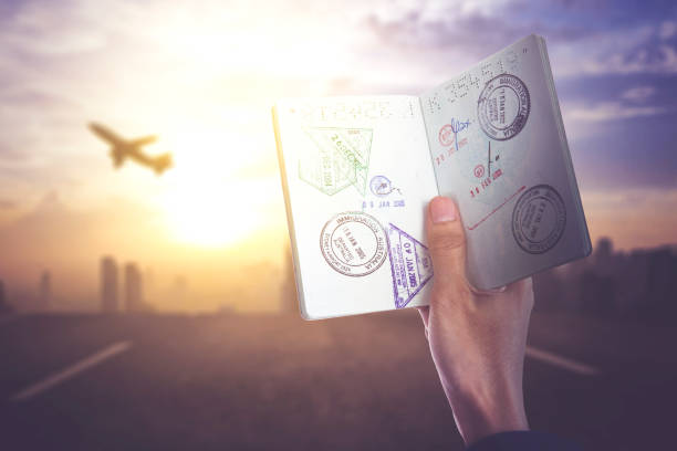 istock Young man hand holding a stamped passport 1342008872