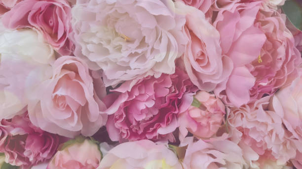 istock Pink flowers beautiful floral background 1342011914