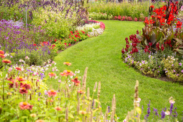 istock Beautiful flower garden in summer. 1342012348