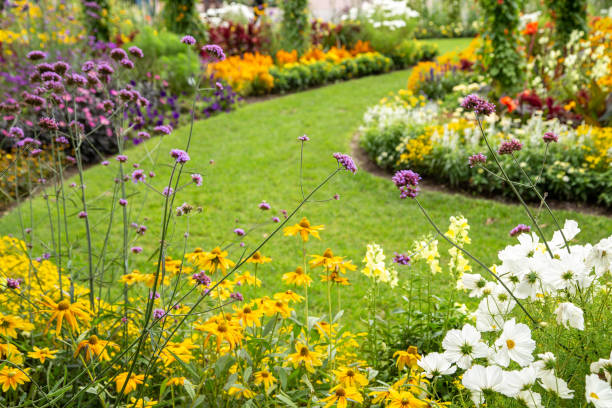 istock Beautiful flower garden in summer. 1342013463