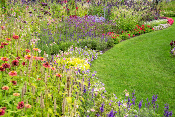 istock Beautiful flower garden in summer. 1342014379