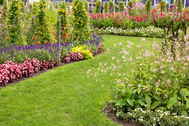 istock Beautiful flower garden in summer. 1342016412