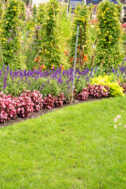 istock Beautiful flower garden in summer. 1342018857