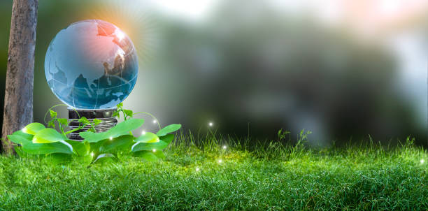 istock 3D illustration Renewable energy concept Earth Day or environmental protection Protect the forests that grow on the ground and help save the planet. 1342020829