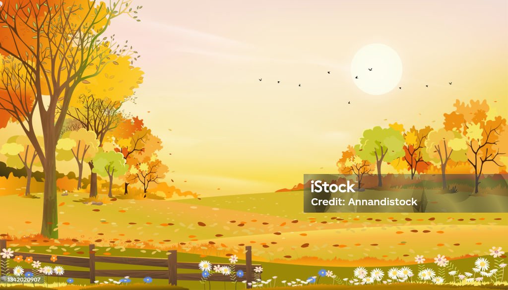 Autumn Rural Landscape Farm Fields And Forest Trees With Orange Sky Sunset  Vector Cartoon Background Fields Harvest Peaceful Scenery Of Natural  Countryside With Sunrise For Fall Season Background Stock Illustration -  Download