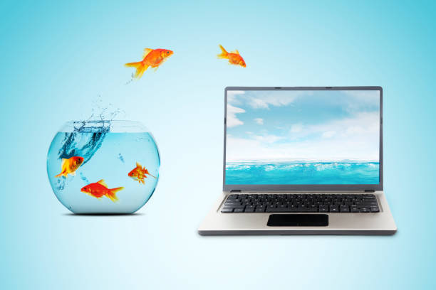 istock Goldfish jumping from aquarium to laptop screen 1342021050