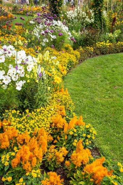 istock Beautiful flower garden in summer. 1342021337