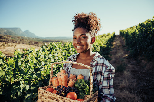 Female farmer walking through vineyards while carrying large basket of fresh produce feeling accomplished after large crop harvest . High quality photo