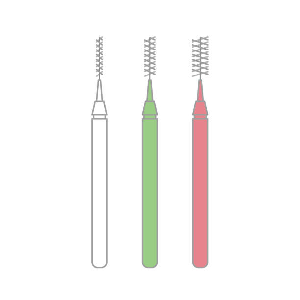 ilustrações de stock, clip art, desenhos animados e ícones de illustration of wire type interdental brush - human teeth defending dental equipment brushing