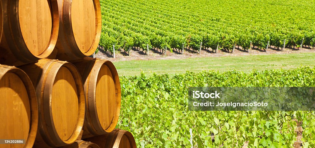 Barriles de vino en frente de vineyard - Foto de stock de Agricultura libre de derechos