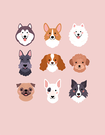 Vector illustration of funny cartoon different breeds dogs in trendy flat style. Isolated on light pink background.