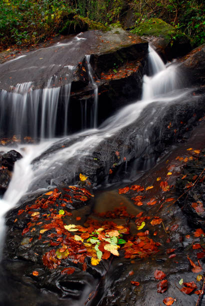 istock Stream in the Gorbeia Natural Park. Basque Country. Spain 1342030655