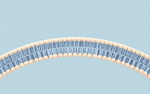 Membrana celular con fondo azul, renderizado 3D. photo