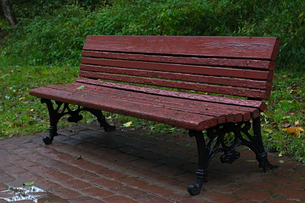 Wet bench in an autumn park on a cloudy morning