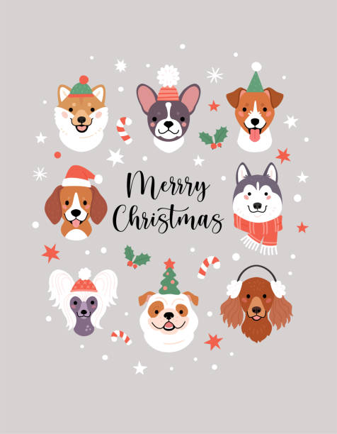 Merry Christmas greeting card. Vector illustration with cute dogs faces in winter and party hats, surrounded by snow, stars, mistletoes, and candy canes. Isolated on light grey background happy english bulldog stock illustrations