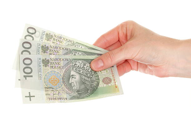 istock Polish money isolated in hand 134203353