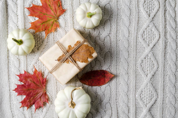 istock Pumpkins and a thanksgiving gift on a knitted, knitted background. 1342034611