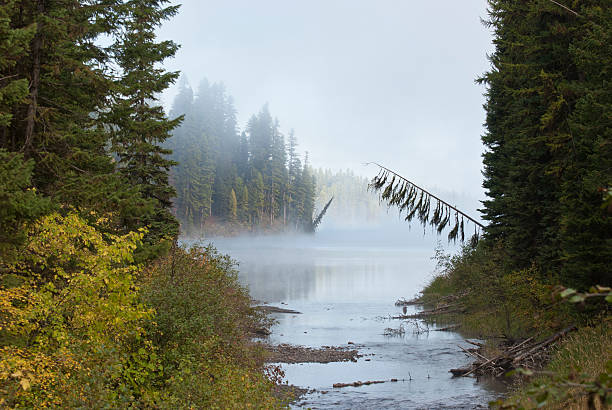 Foggy Fall Morning at the Lake stock photo