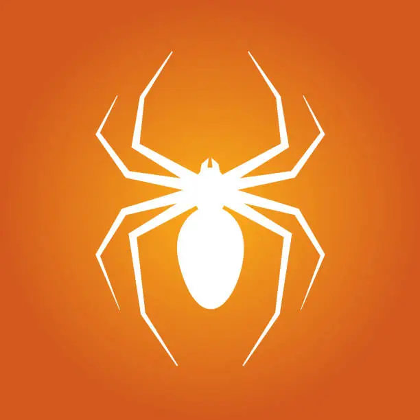 Vector illustration of Simple illustration of spider for Happy Halloween Day