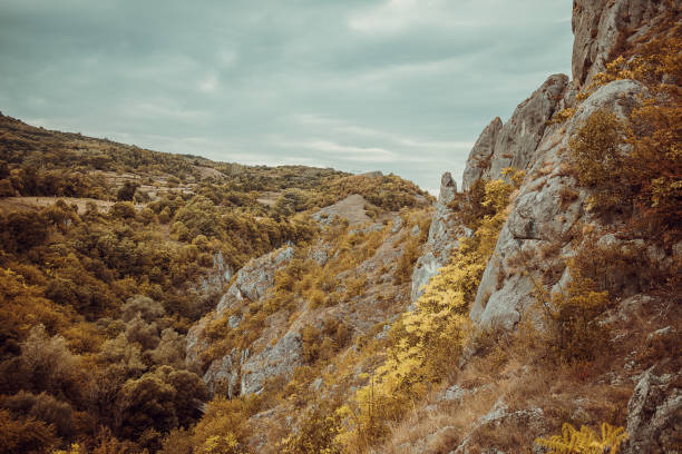 Rocky terrain and forest in the autumn on the mountain