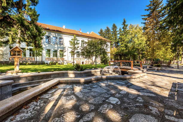 Razlog, Bulgaria street view with fountain and river Razlog, Bulgaria - October 20, 2020: Downtown street panoramic view with autumn trees and fountains blagoevgrad province photos stock pictures, royalty-free photos & images