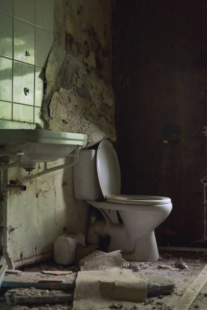 istock Old dirty broken toilet and sink in a dilapidated bathroom. 1342045871