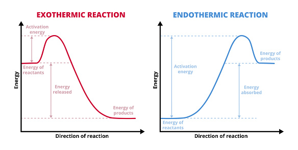 Vector graphs or charts of endothermic and exothermic reactions isolated on a white background – physics, chemistry. Exo and endo chemical reactions. Activation energy. Reactants, products, increase and decrease in the enthalpy H.