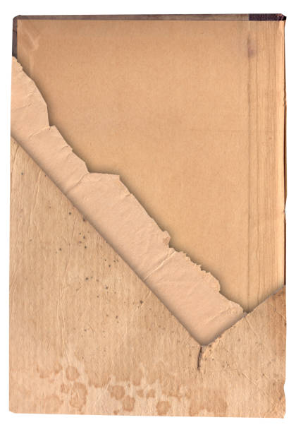 istock Vintage old paper with scratches and stains texture 1342046307