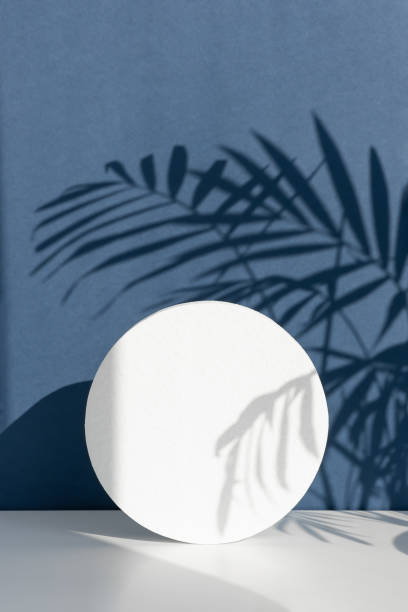 istock Minimal abstract blue and white background for eco cosmetic product presentation. Cylindrical white scene. 1342047436