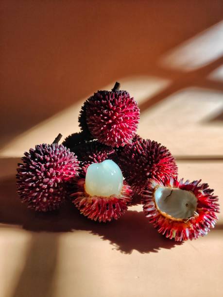 frutto di pulasan con flash succoso all'interno fotografato su sfondo sfocato - rambutan foto e immagini stock