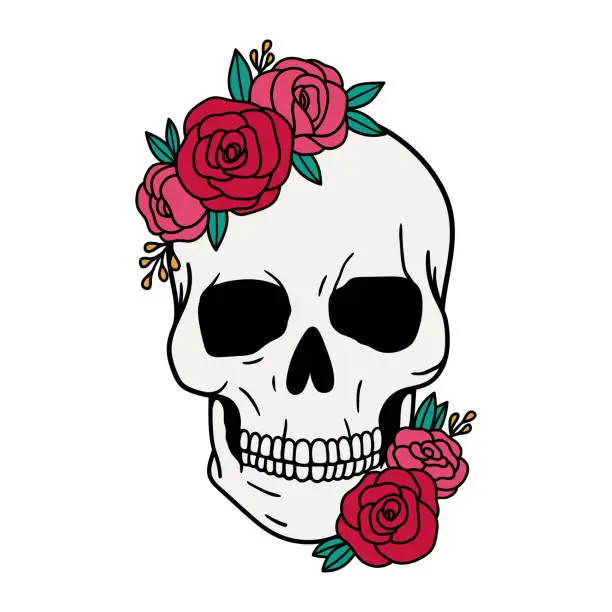 Vector illustration of Skull with flowers, with roses. Human skull portrait with floral wreath. Vector illustration isolated on white background. Sugar skull floral print for Halloween.