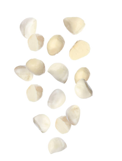 istock Set of falling mozzarella cheese balls on white background 1342051565