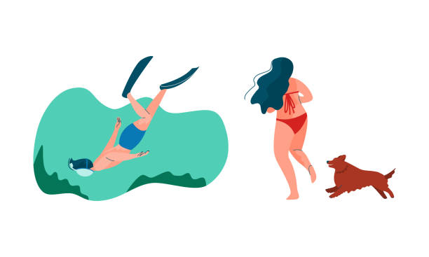 ilustrações, clipart, desenhos animados e ícones de mulher de maiô andando o cão e homem mergulhando vetor set - underwater dog adult happiness