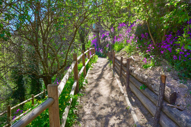 Cuenca spring forest in Canete wooden fence by the river
