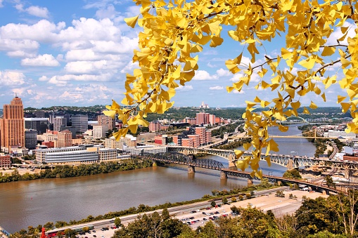Pittsburgh, Pennsylvania - city in the United States. Skyline with bridges Monongahela River.- Autumn leaves - autumn season view.