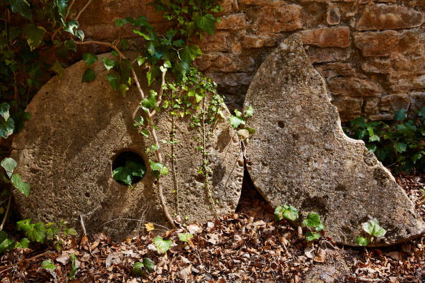 istock Aged old mill millwheel stone wheel in Spain 1342056739
