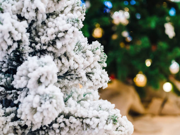 christmas tree branch with white artificial snow - fake snow imagens e fotografias de stock