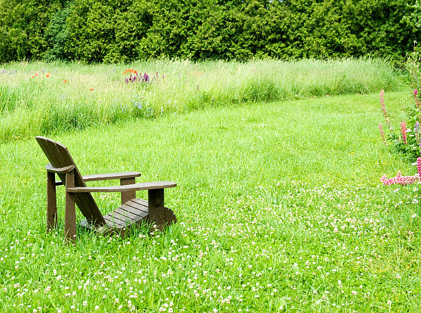 istock Adirondack Chair in Wildflower Meadow 134205819