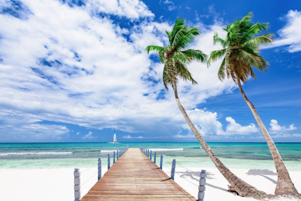 istock wooden pier extending into the sea 1342059177