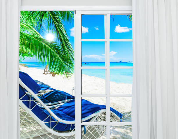 istock tropical paradise from an open door at home 1342059185