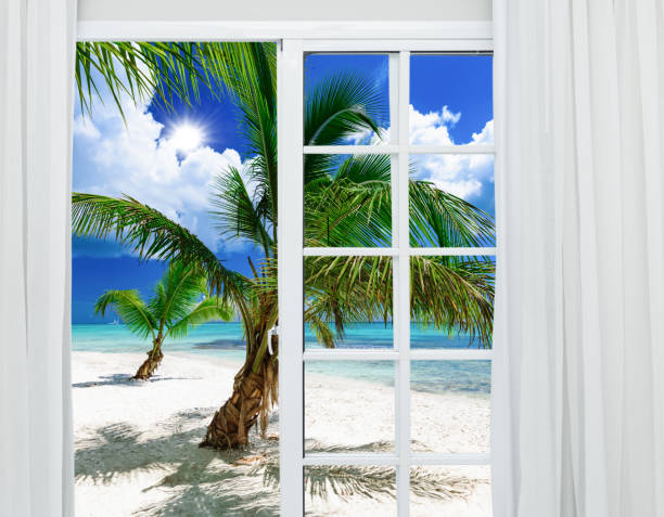istock tropical paradise from an open door at home 1342059192