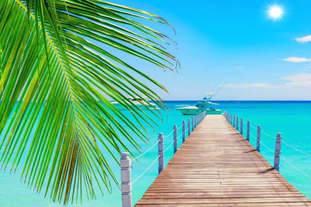 istock wooden pier extending into the sea 1342059294