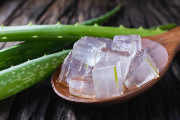 corte aloe vera planta em colher de madeira para cosméticos ou cuidados médicos em fundo de madeira. - 13422 - fotografias e filmes do acervo