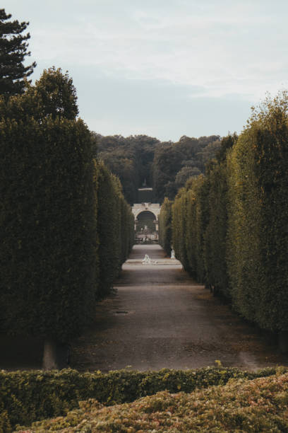 istock public-park-in-the-morning-1 1342062584